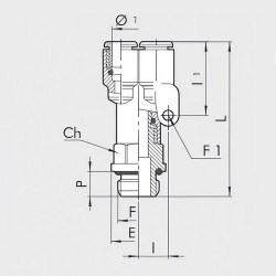 1-(13)